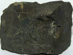 زغال سنگ ساپروپلیک چیست ؟