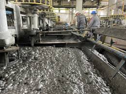 مدار فلوتاسیون سولفید مس