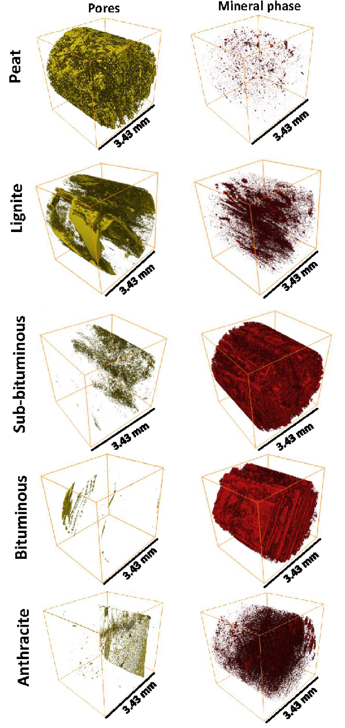 مواد معدنی موجود در زغالسنگ ها چه هستند ؟