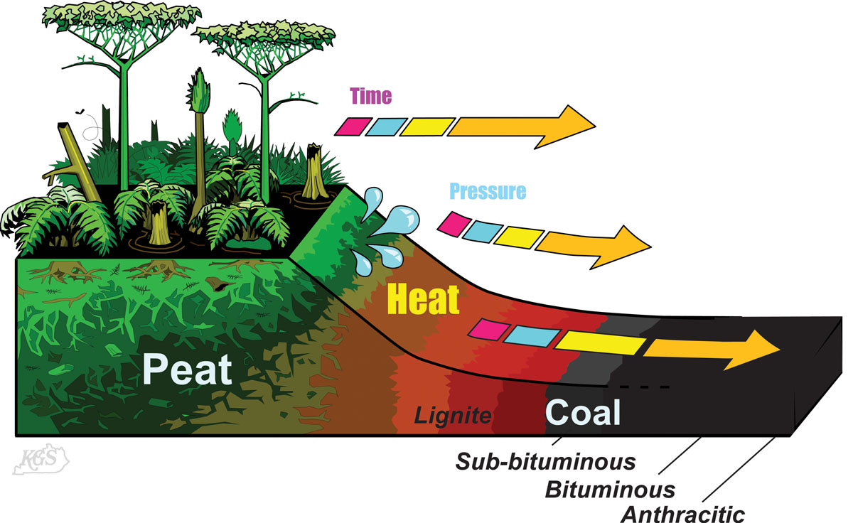 رتبه زغال سنگ چیست؟