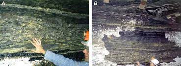 زغال سواران و سقف های سنگ رسی (زمین شناسی زغالسنگ 9)