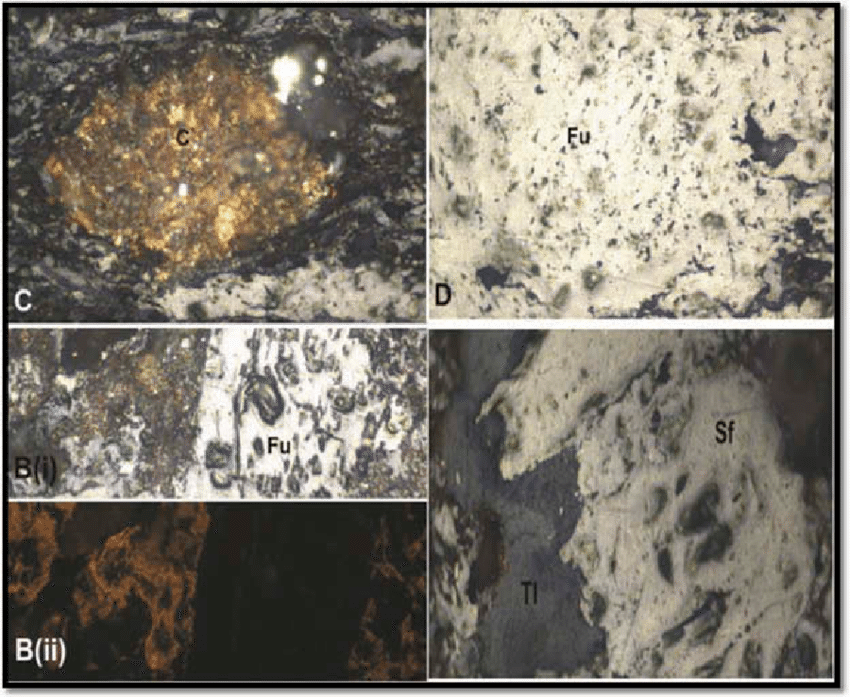 ماسرال ها در زغالسنگ چیست ؟