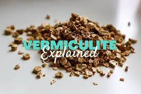 وظیفه ورمیکولیت چیست؟