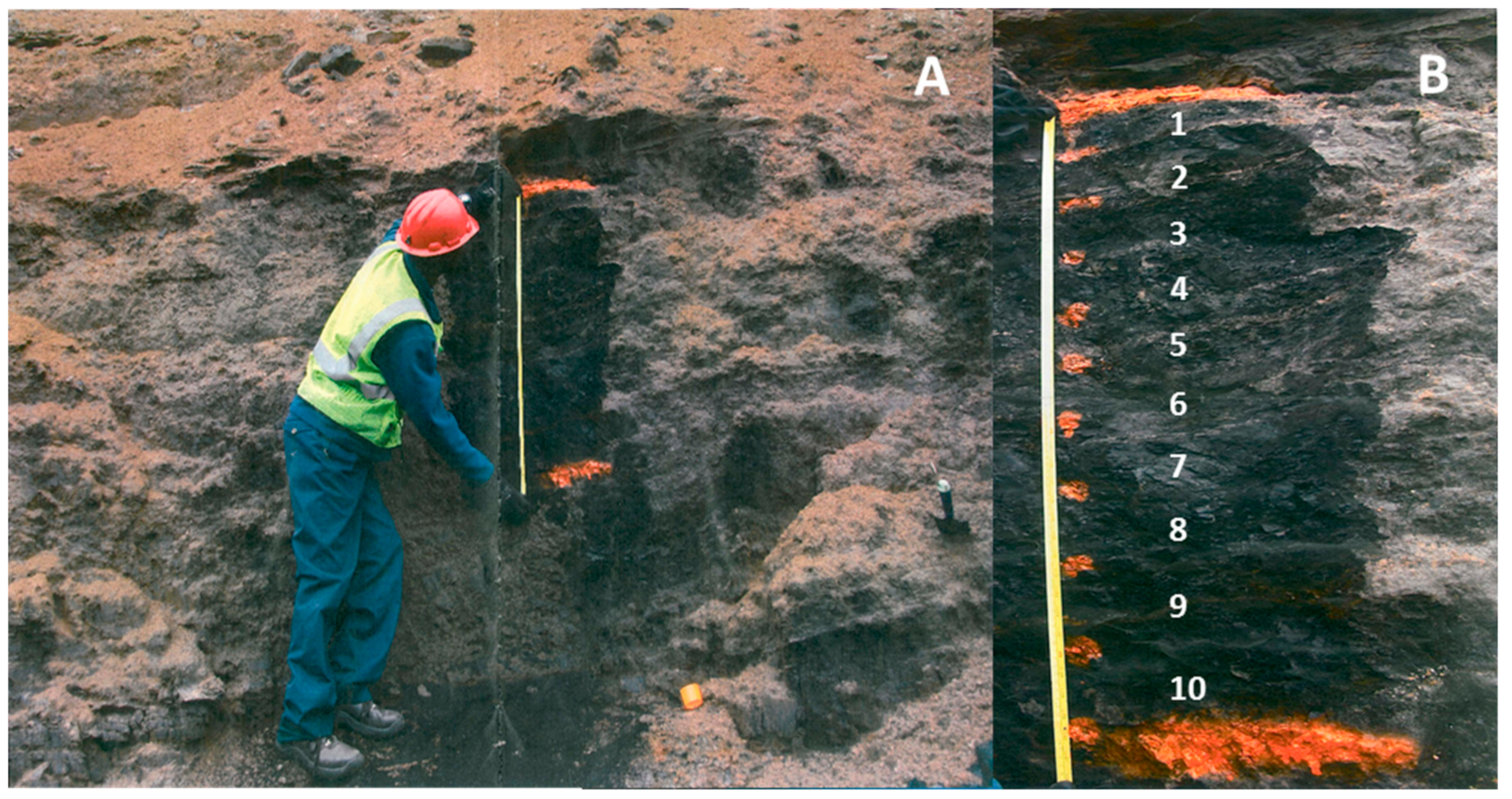 تقسیم شدن ( اسپیلت زمین شناسی زغالسنگ 6)